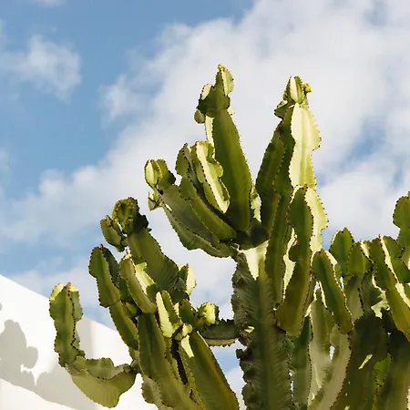 Willa Casa Jable Roja *