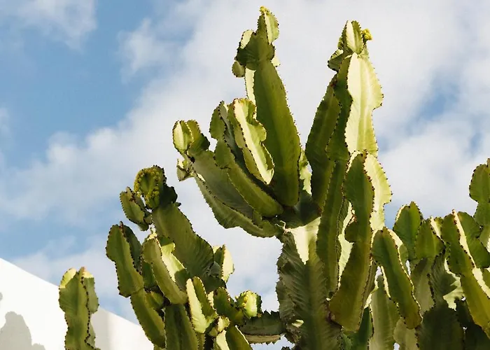 Vila Casa Jable Roja *